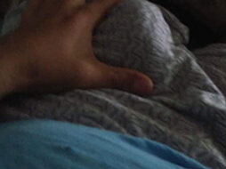 Alisex31