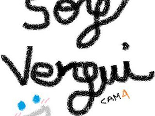 soyvergi