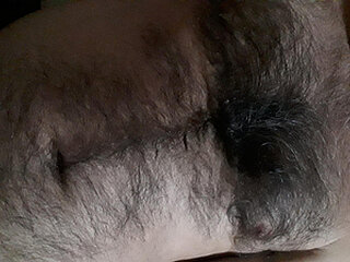 Nestormono