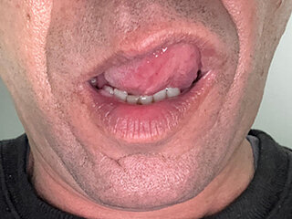 suculenta_dick_