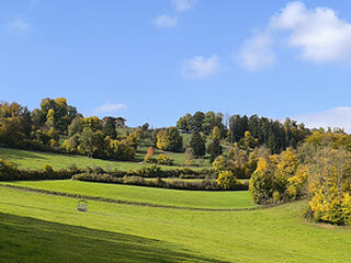 PPzeigegeil